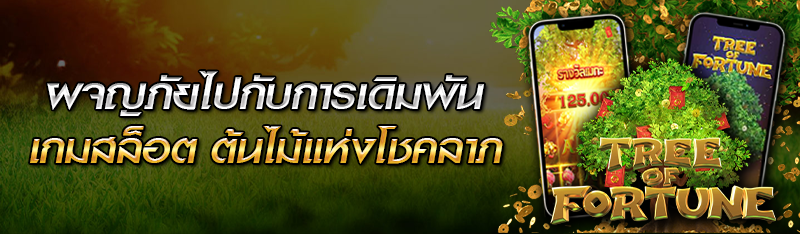 ผจญภัยไปกับการเดิมพันเกมสล็อต ต้นไม้แห่งโชคลาภ