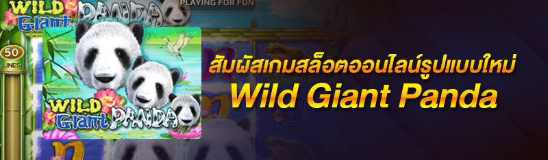 สัมผัสเกมสล็อตออนไลน์รูปแบบใหม่ Wild Giant Panda 