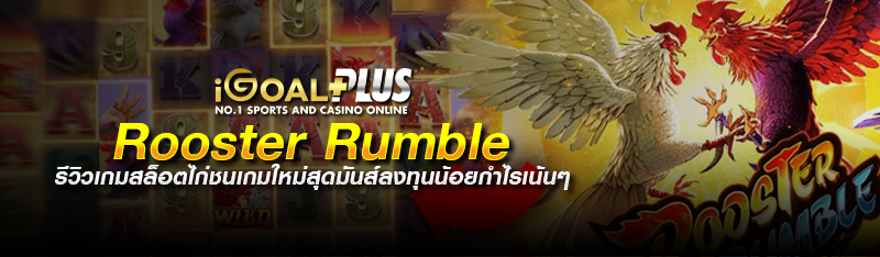 Rooster Rumble รีวิวเกมสล็อตไก่ชนเกมใหม่สุดมันส์ลงทุนน้อยกำไ