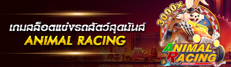 เกมสล็อตแข่งรถสัตว์สุดมันส์ Animal Racing 